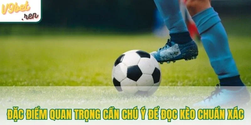 Đặc điểm quan trọng cần chú ý để đọc kèo chuẩn xác