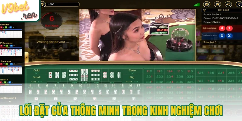 Lối đặt cửa thông minh trong kinh nghiệm chơi xóc đĩa livestream