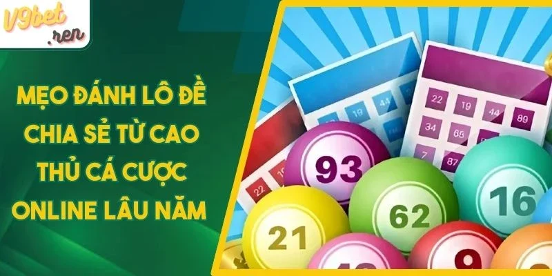 Học cách bắt cầu lô ngắn hạn chuẩn xác