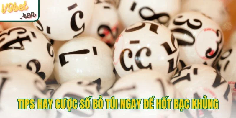 Tips hay cược số bỏ túi ngay để hốt bạc khủng
