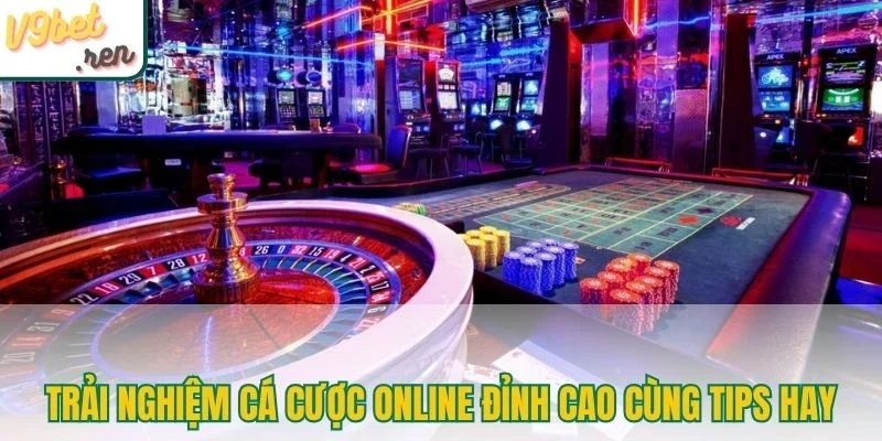 Trải nghiệm cá cược online đỉnh cao cùng tips hay